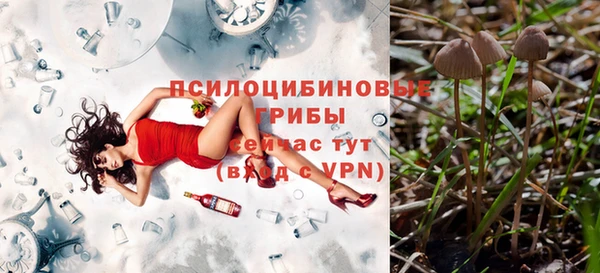гашиш Белокуриха