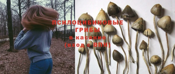 круглые Аркадак