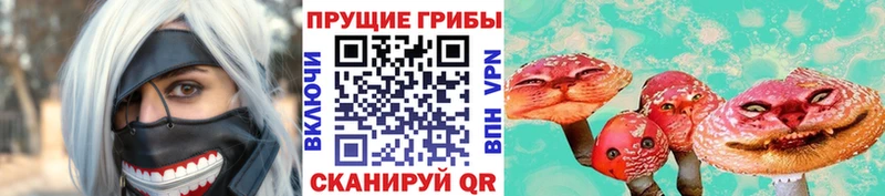 Псилоцибиновые грибы ЛСД закладка Судак