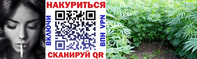 МАРИХУАНА гибрид  Судак 