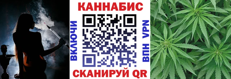 Конопля планчик Судак